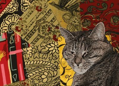 The She-Lord and Her Tailor